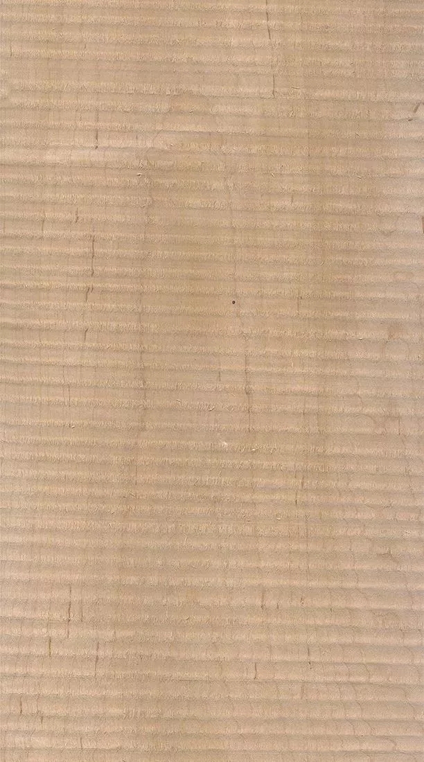 樺木的芯材顏色是淡紅棕色，邊材顏色近白色，板麵寬且帶影的木皮市場價格良好，紋理通常是直紋和波浪紋，質地均勻，板麵有很好的自然光澤度。.webp.jpg